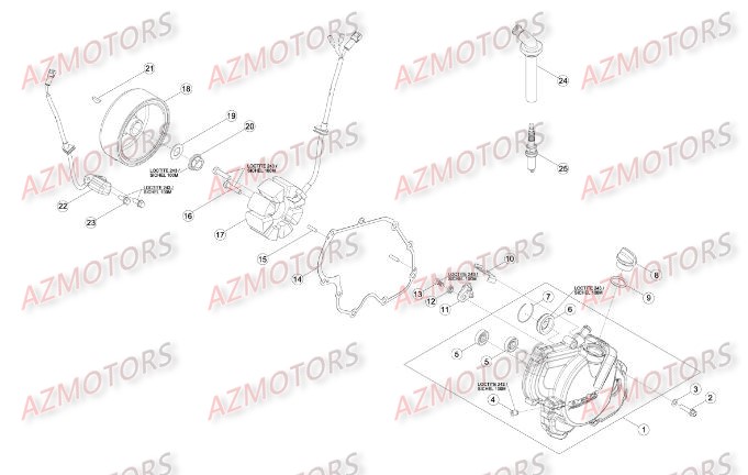 Allumage BETA Pièces Beta RR 4T 498 Enduro - 2013