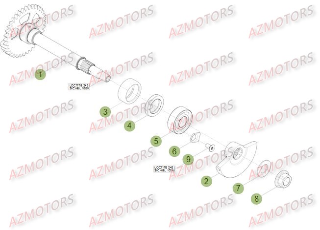 VILEBREQUIN   PISTON   CONTRE ARBRE BETA RR 4T 498 14