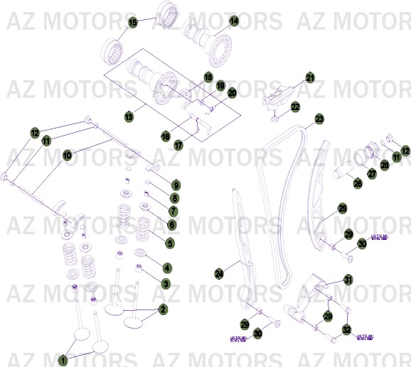 DISTRIBUTION BETA RR 4T 520 11