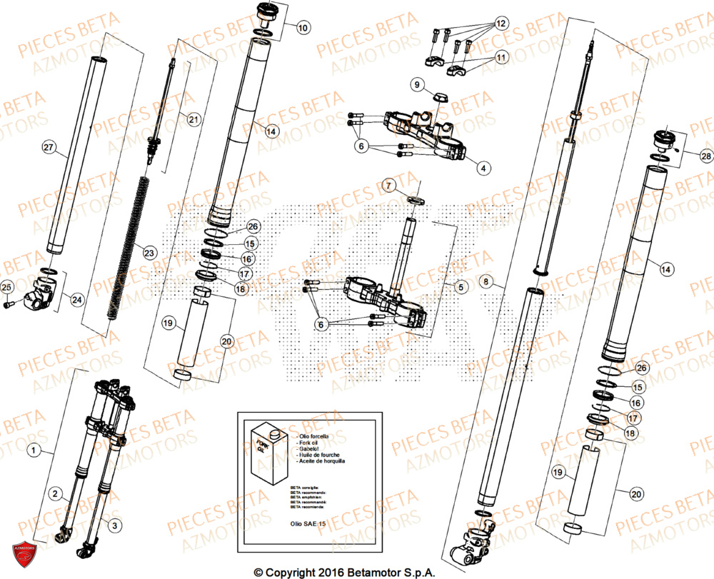 Fourche BETA Pièces Beta RR 50 RACE - 2025