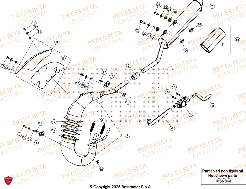 Echappement BETA Pièces Beta RR 50 SPORT - 2025