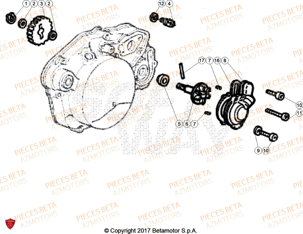 Pompe A Eau BETA Pièces Beta RR 50 SPORT - 2025