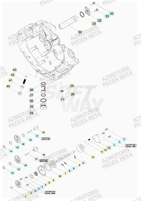 POMPE A HUILE BETA RR FACTORY 450 11