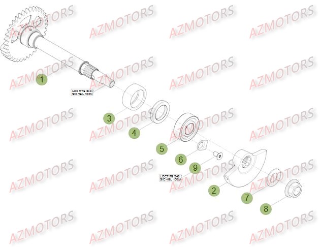 Vilebrequin Piston Contre Arbre BETA Pièces Beta RR 4T 390 Enduro - 2015