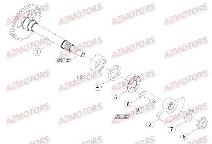 Arbre BETA Pièces Beta RR 4T 430 Enduro - 2015