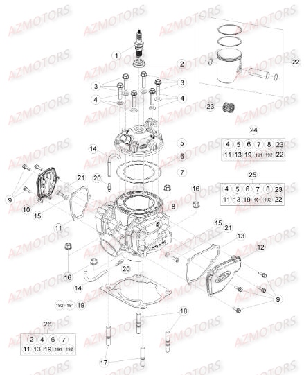 Cylindre BETA Pieces BETA RR RACING 2T 250 - [2015]