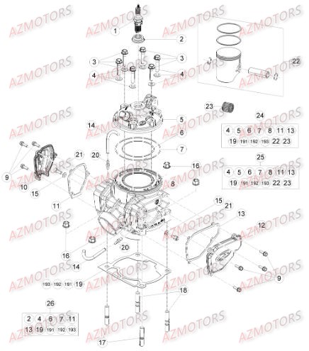 Cylindre BETA Pieces BETA RR RACING 2T 300 - [2016]