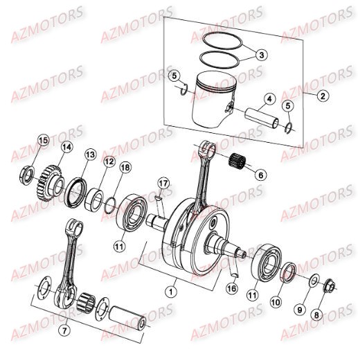 VILEBREQUIN pour RRRAC-2T-300-16