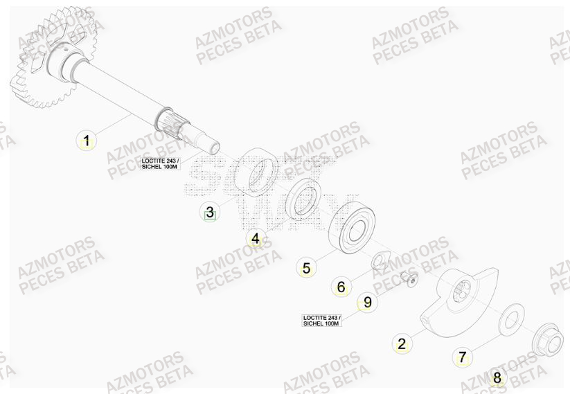 Arbre Equilibrage BETA Pièces BETA RR RACING 4T 450 - [2013]