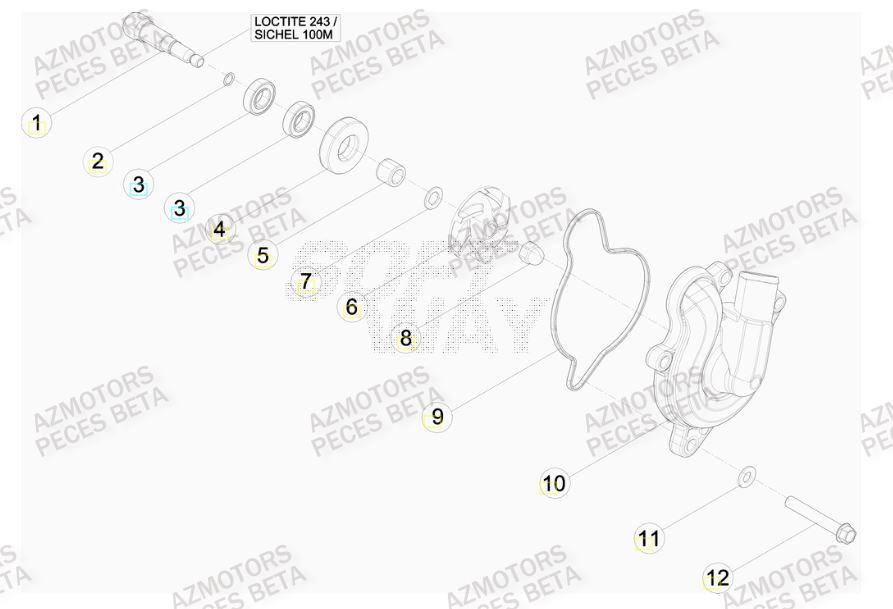 Pompe A Eau BETA Pièces BETA RR RACING 4T 450 - [2013]