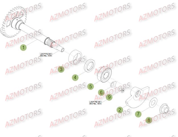 VILEBREQUIN - PISTON - CONTRE-ARBRE BETA Pièces BETA RR RACING 4T 498 - [2014]