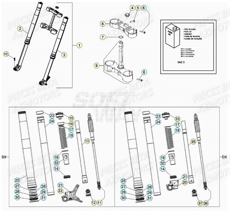 Fourche BETA Pièces RR 125 2T - 2021