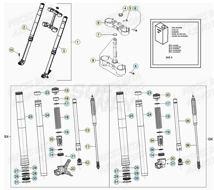 Fourche BETA Pièces RR 125 2T - 2022