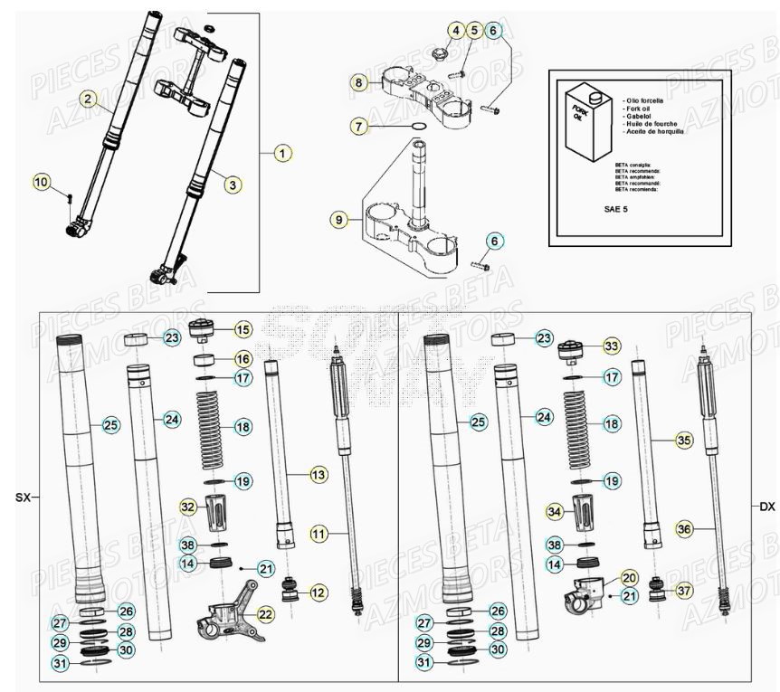 FOURCHE BETA RR 125 2T 22