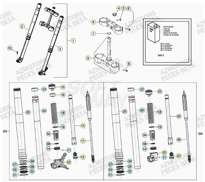 Fourche BETA Pièces RR 125 2T - 2023