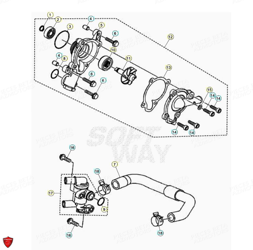 Pompe A Eau BETA Pièces Beta ENDURO RR 125 4T LC - 2021-2022