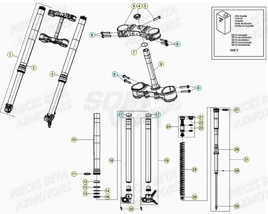 Fourche BETA Pièces RR 125 RACING 2T - 2020