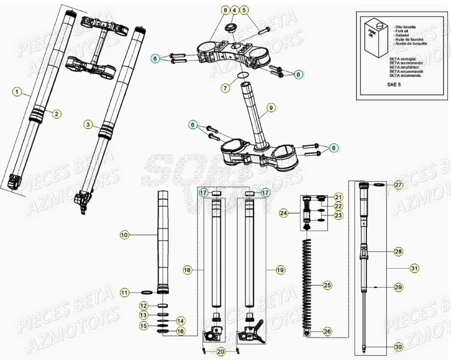 FOURCHE BETA RR 125 RACING 2T 20