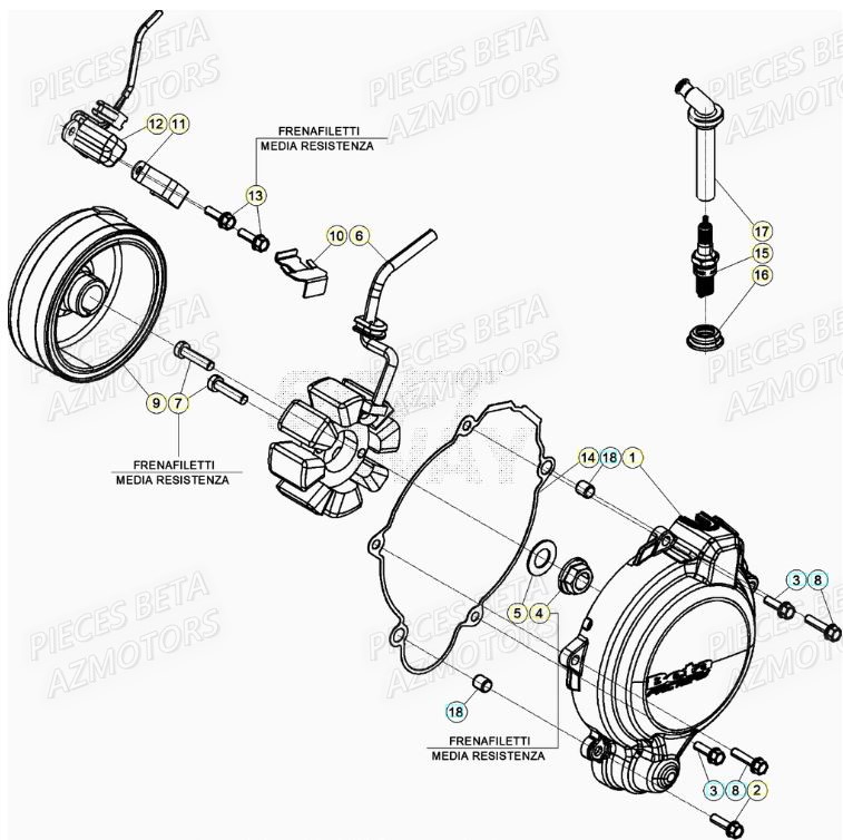 ALLUMAGE BETA Pièces Beta RR 125 RACING 2T - 2021