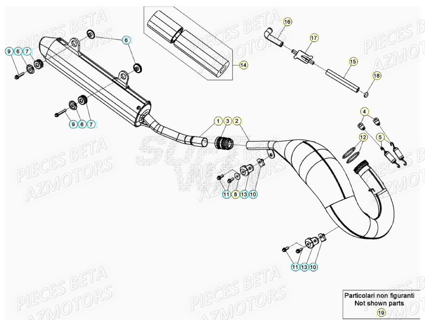 ECHAPPEMENT BETA Pièces Beta RR 125 RACING 2T - 2022