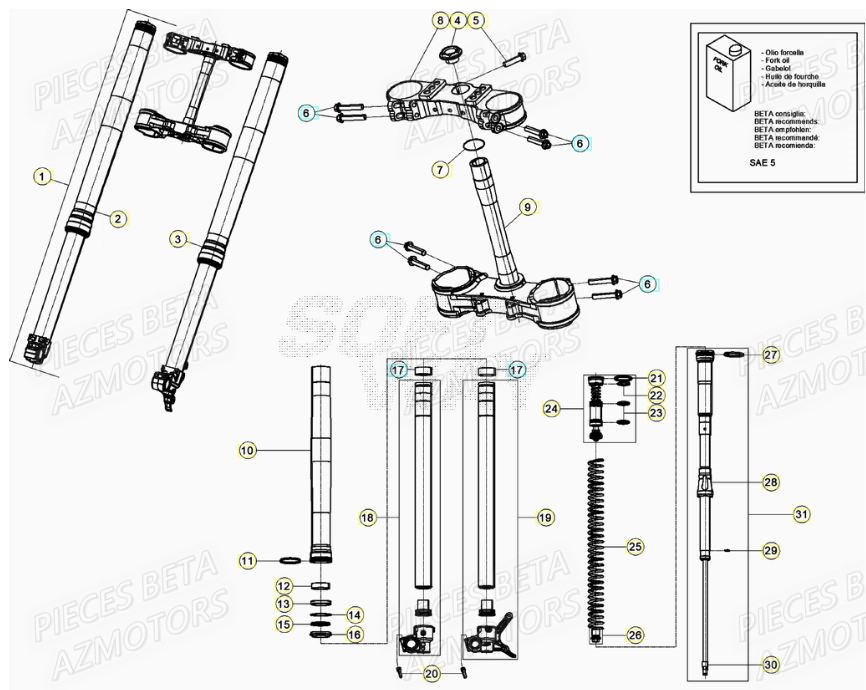 Fourche BETA Pièces RR 125 RACING 2T - 2022