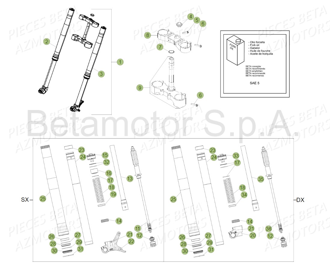 Fourche BETA Pieces Beta RR 200 2T - 2019