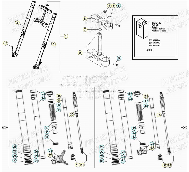 Fourche BETA Pieces Beta RR 200 2T - 2020