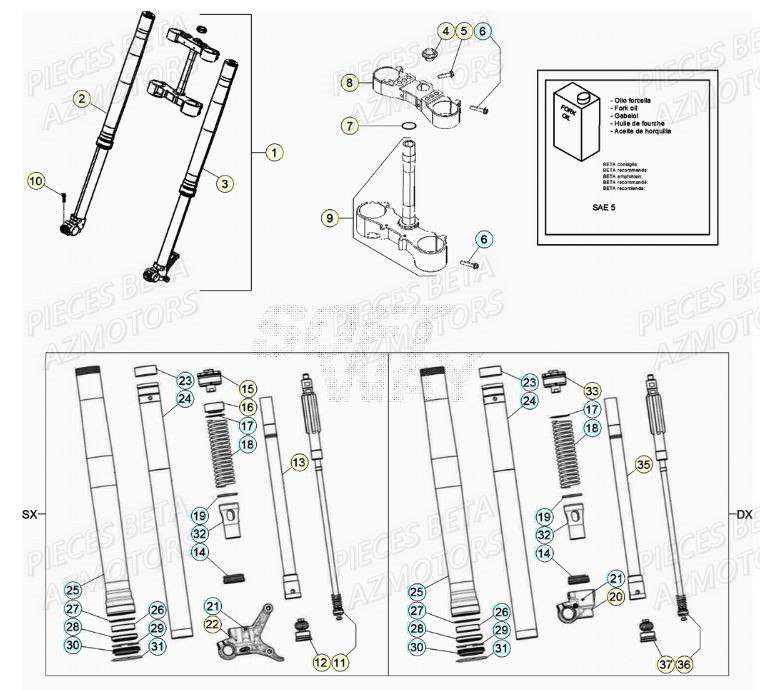 FOURCHE BETA RR 200 2T 2021