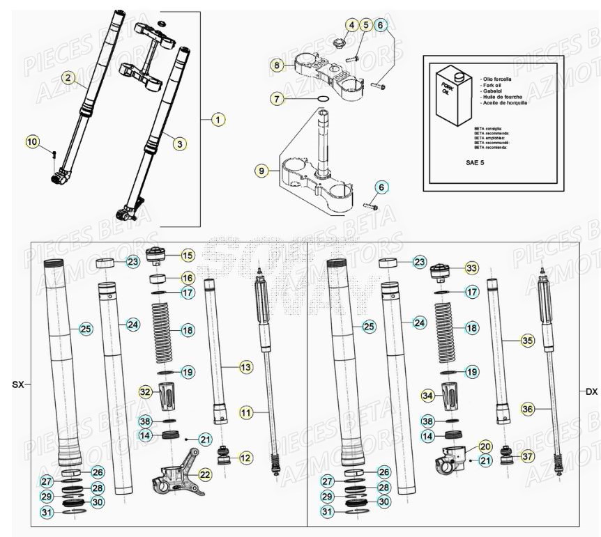 Fourche BETA Pieces Beta RR 200 2T - 2022