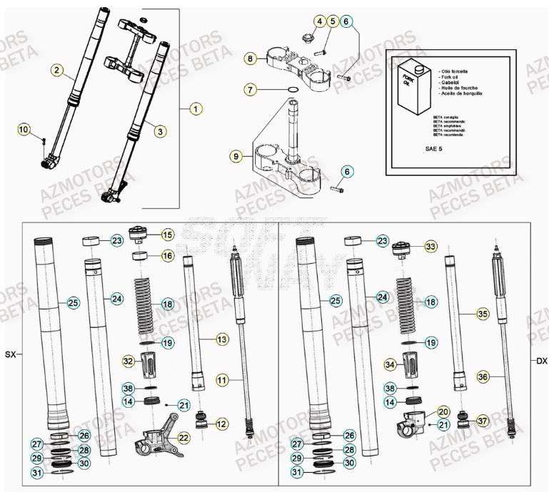 Fourche BETA Pieces Beta RR 200 2T - 2023