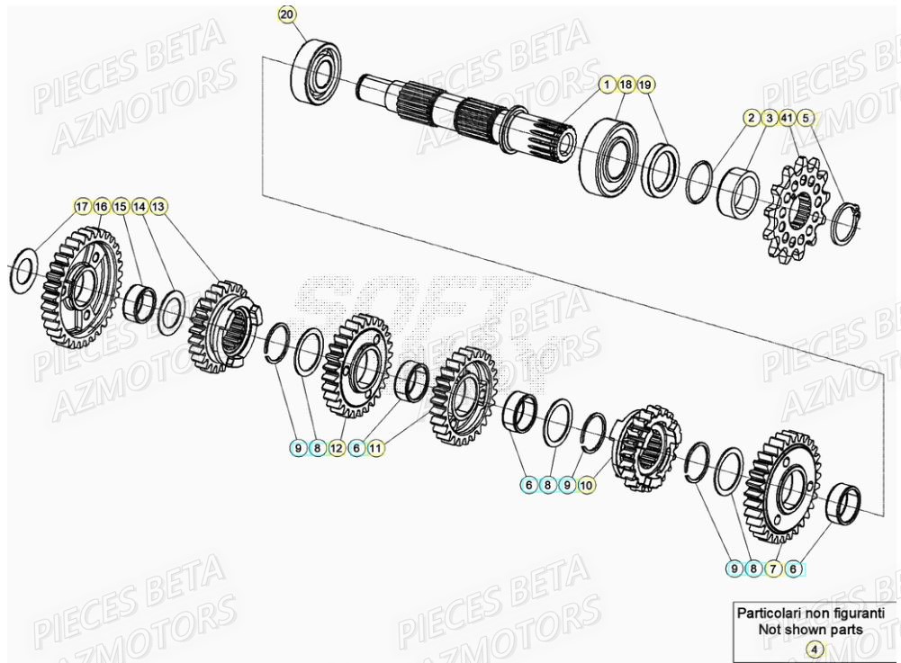 Transmission BETA Pièces RR 200 RACING 2T - 2022