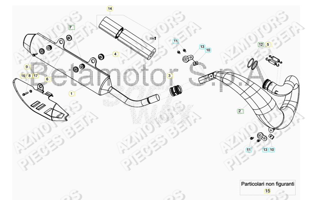 ECHAPPEMENT pour RR 250 2T MY18