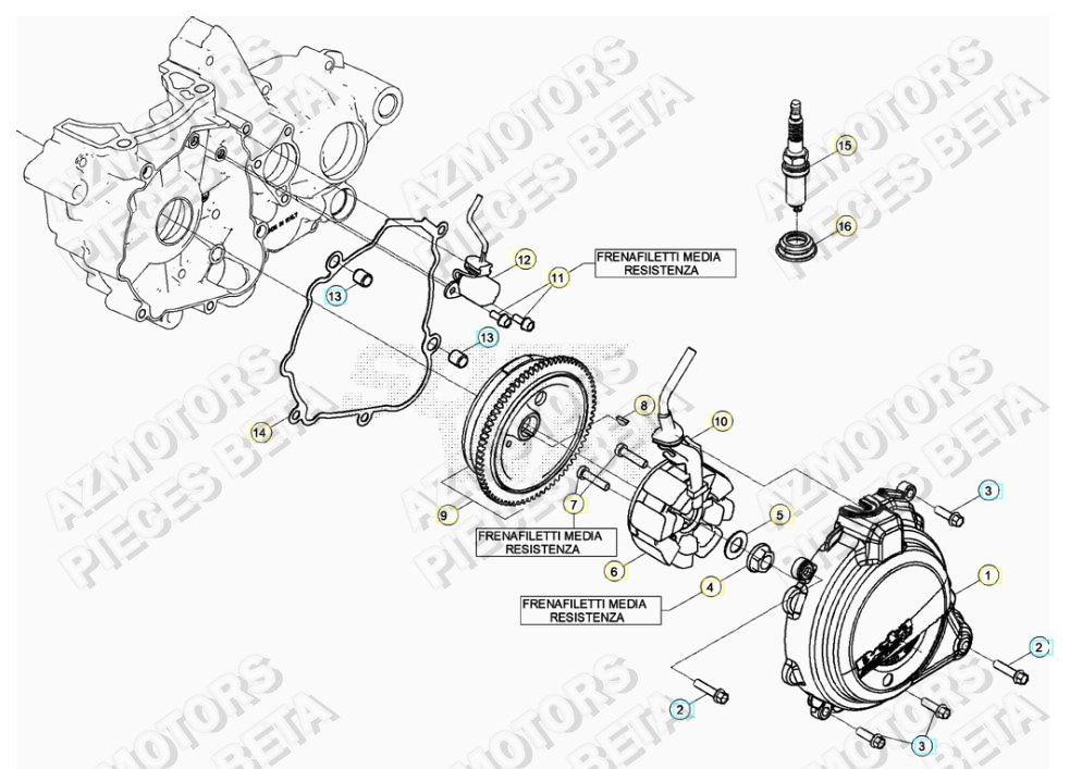 ALLUMAGE BETA Pieces BETA RR 2T 250 - (2019)