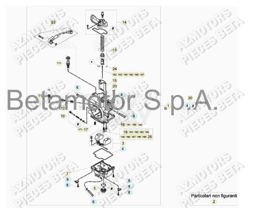 Carburateur BETA Pieces BETA RR 2T 250 - (2019)