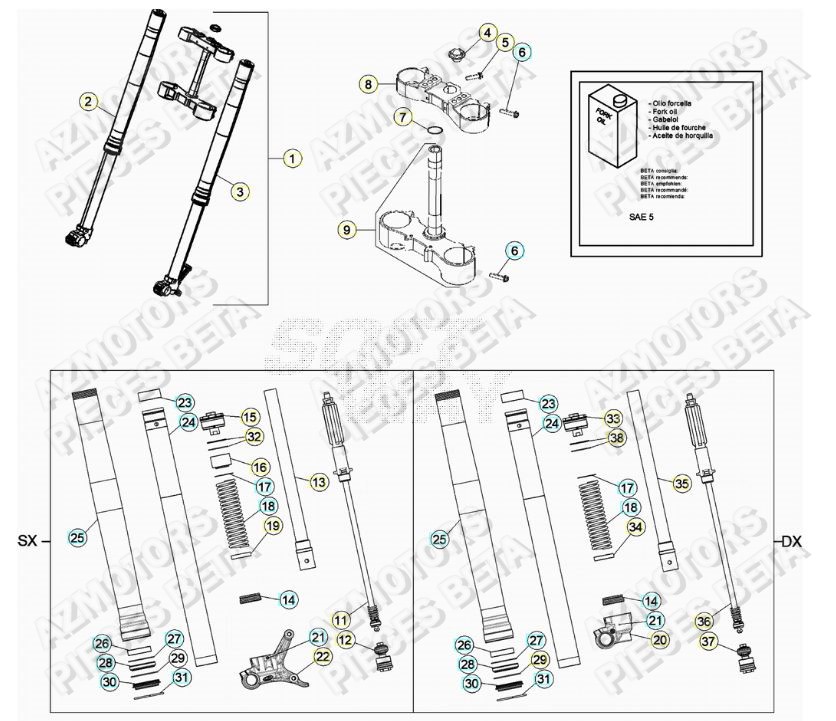 Fourche BETA Pieces BETA RR 2T 250 - (2019)