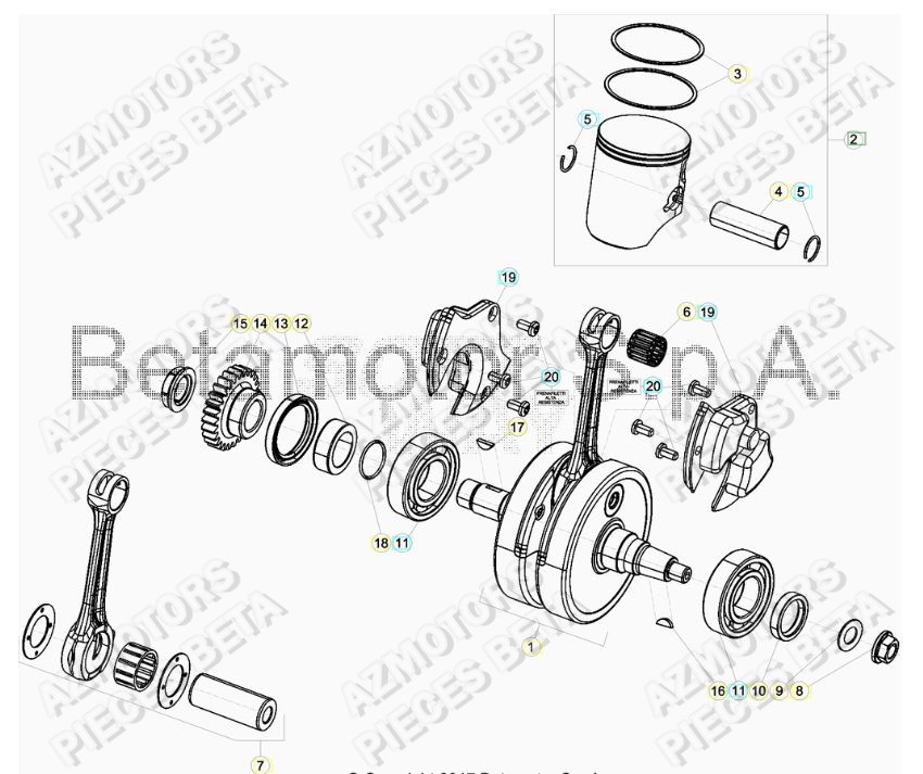 Vilebrequin BETA Pieces BETA RR 2T 250 - (2019)