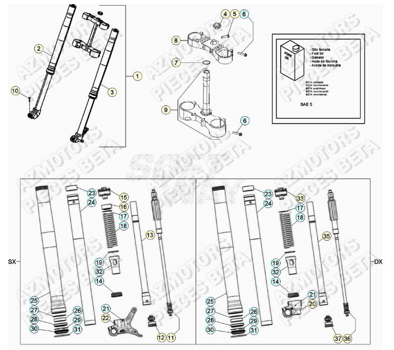Fourche BETA Pieces BETA RR 2T 250 - (2020)