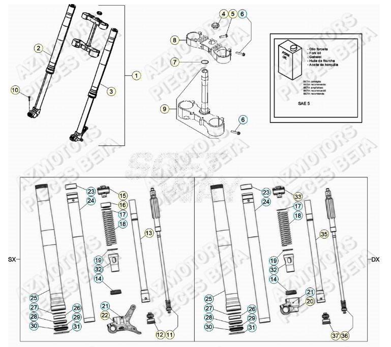 FOURCHE BETA RR 250 2T MY20