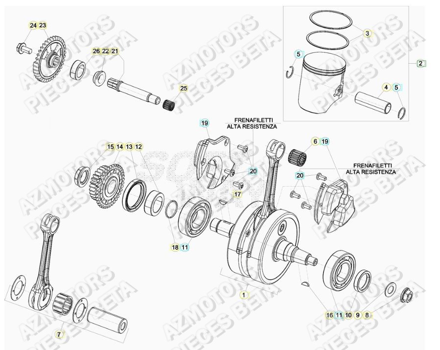 VILEBREQUIN pour RR 250 2T MY20