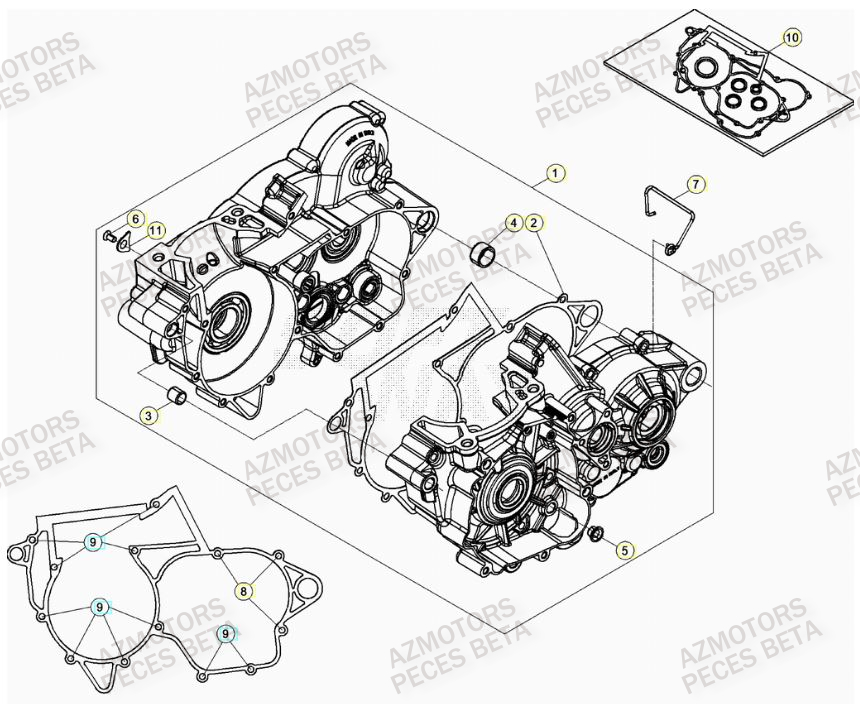 CARTER MOTEUR pour RR 250 2T MY21