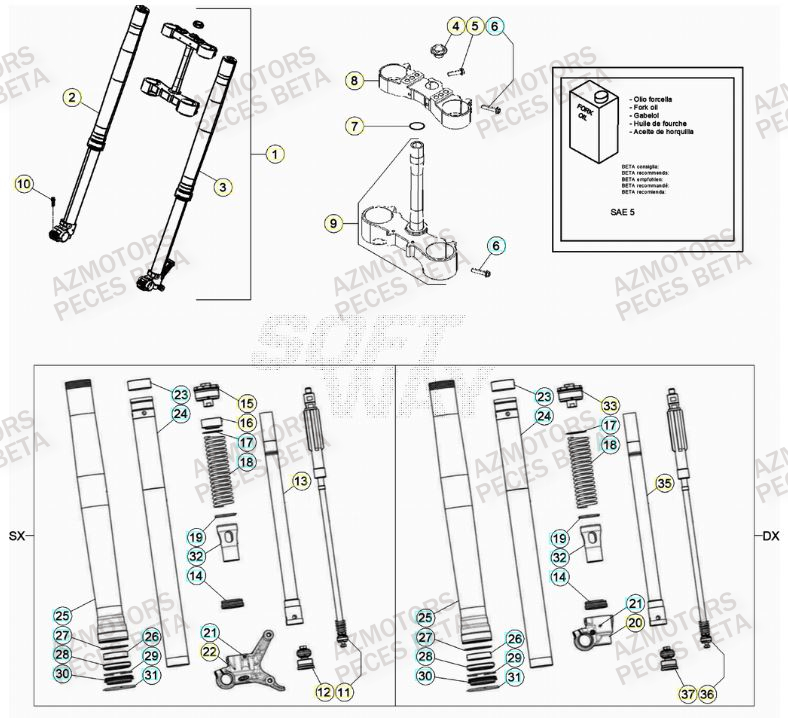 FOURCHE BETA RR 250 2T MY21