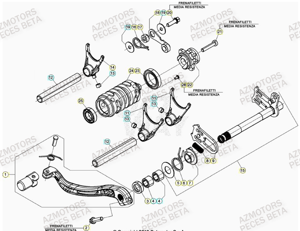 Selecteur De Vitesses BETA Pieces BETA RR 2T 250 - (2021)