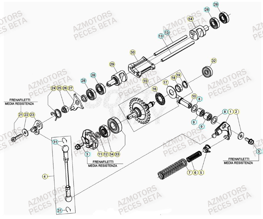 CULBUTEUR pour RR 250 2T MY22