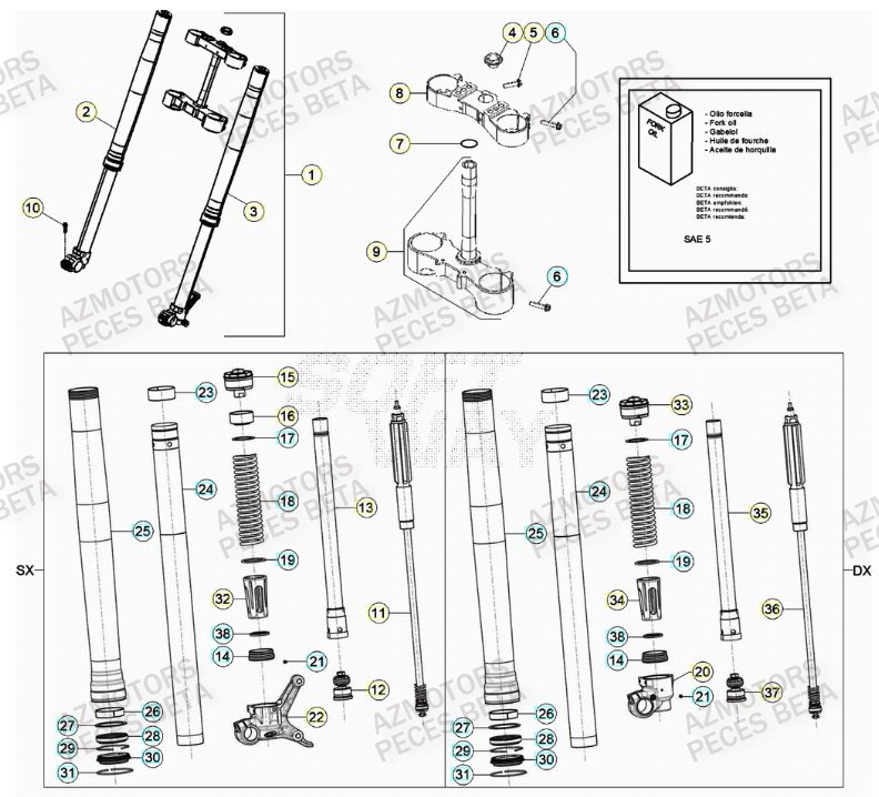 Fourche BETA Pieces BETA RR 2T 250 - (2022)