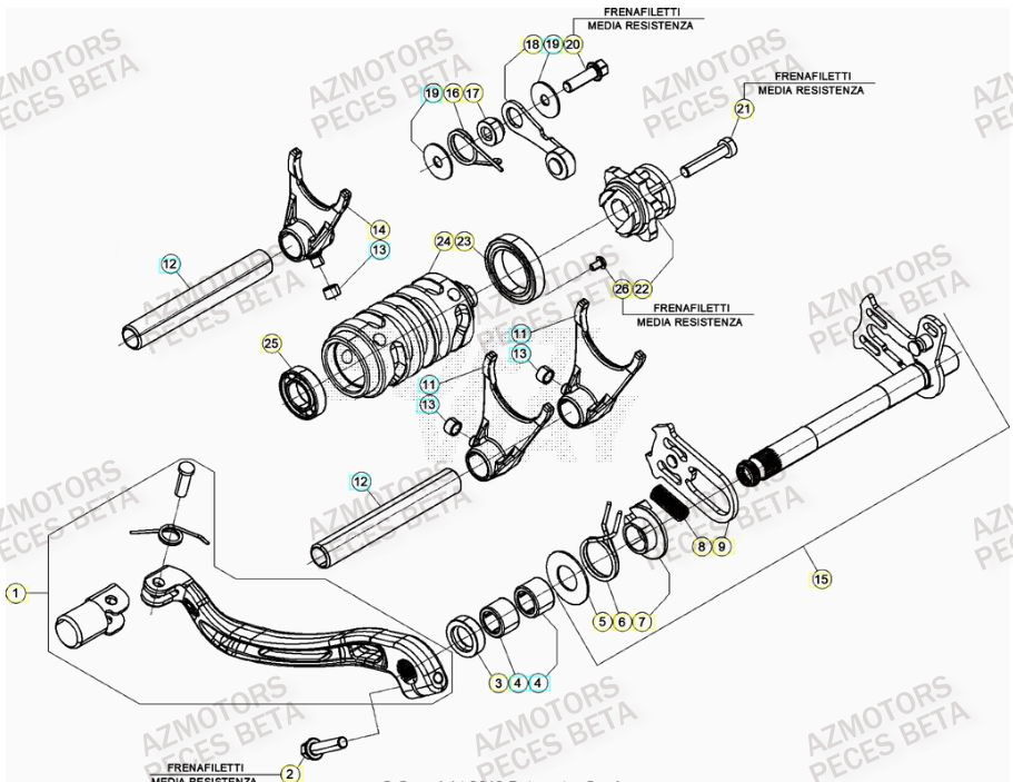Selecteur De Vitesses BETA Pieces BETA RR 2T 250 - (2022)