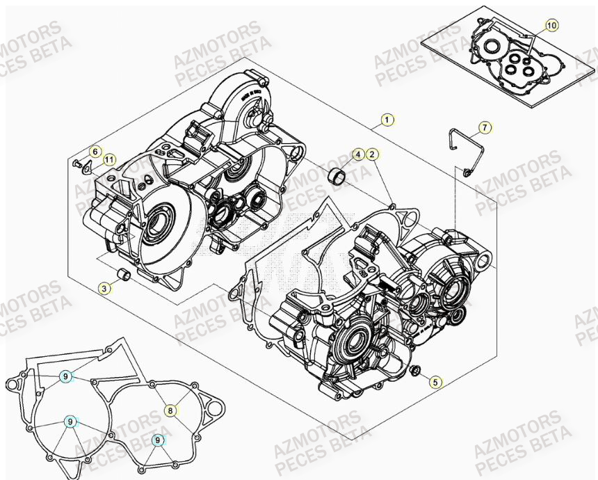 CARTER MOTEUR pour RR 250 2T MY23