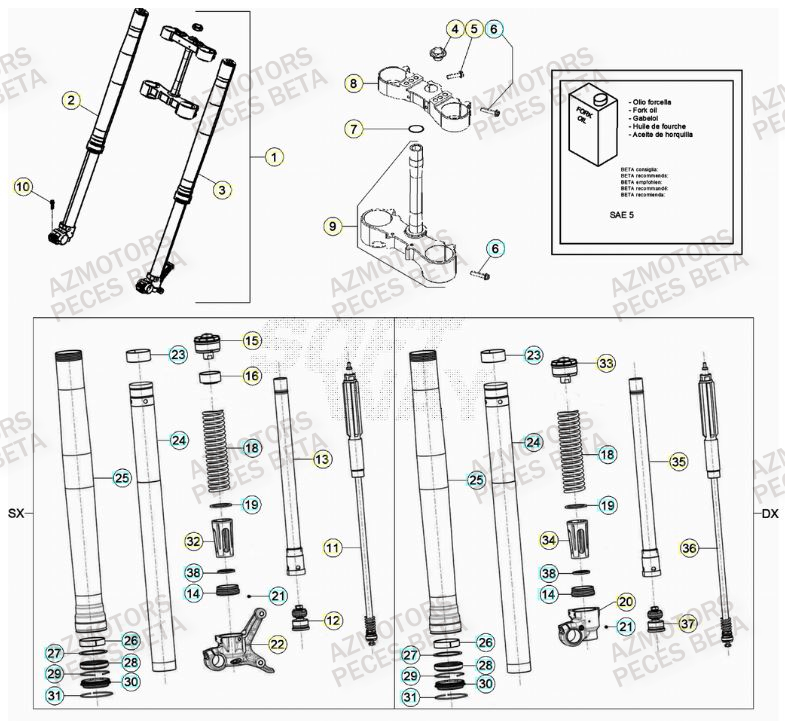 Fourche BETA Pieces BETA RR 2T 250 - (2023)