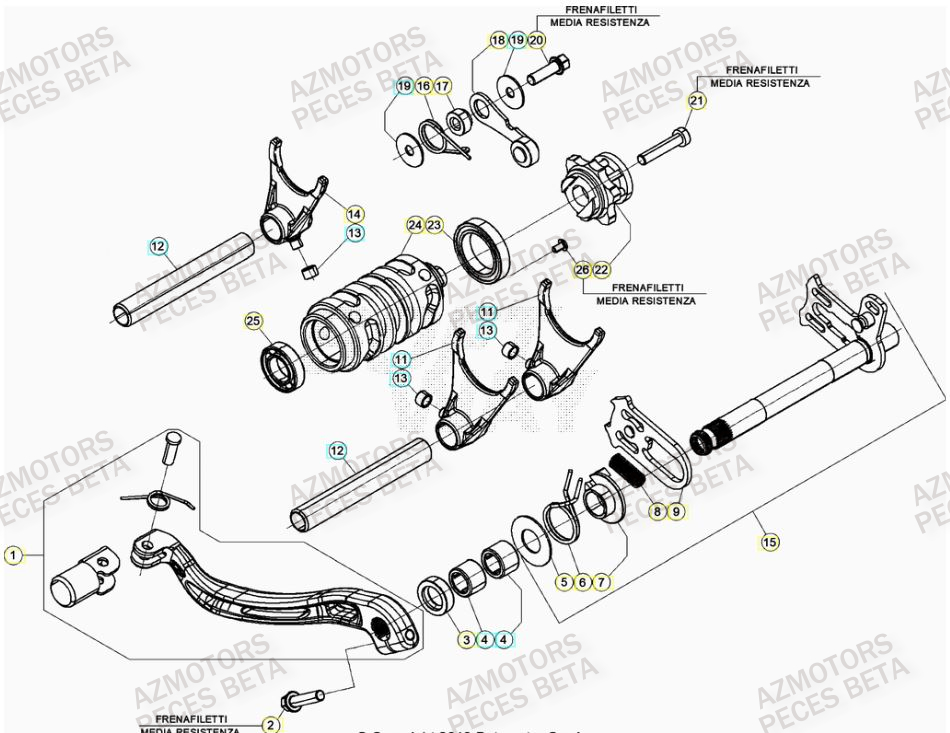 SELECTEUR_DE_VITESSES BETA Pieces BETA RR 2T 250 - (2023)