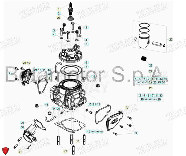 CYLINDRE_CULASSE_DISTRIBUTION BETA Pieces BETA RR RACING 2T 250 - (2018)