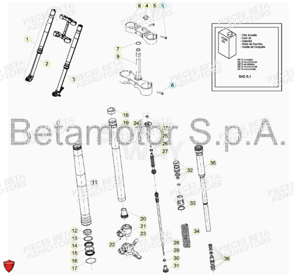 Fourche BETA Pieces BETA RR RACING 2T 250 - (2018)
